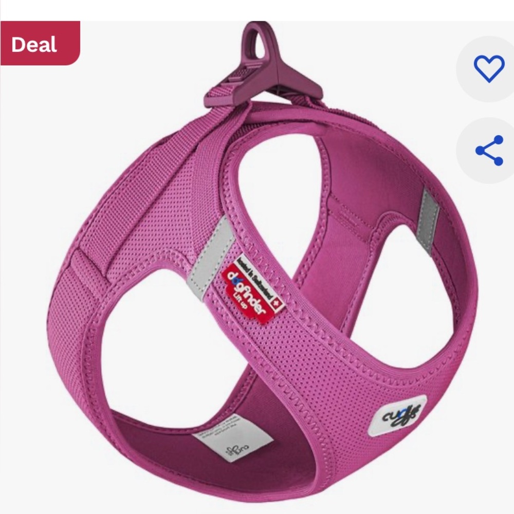 XL Curli dog harness size XL